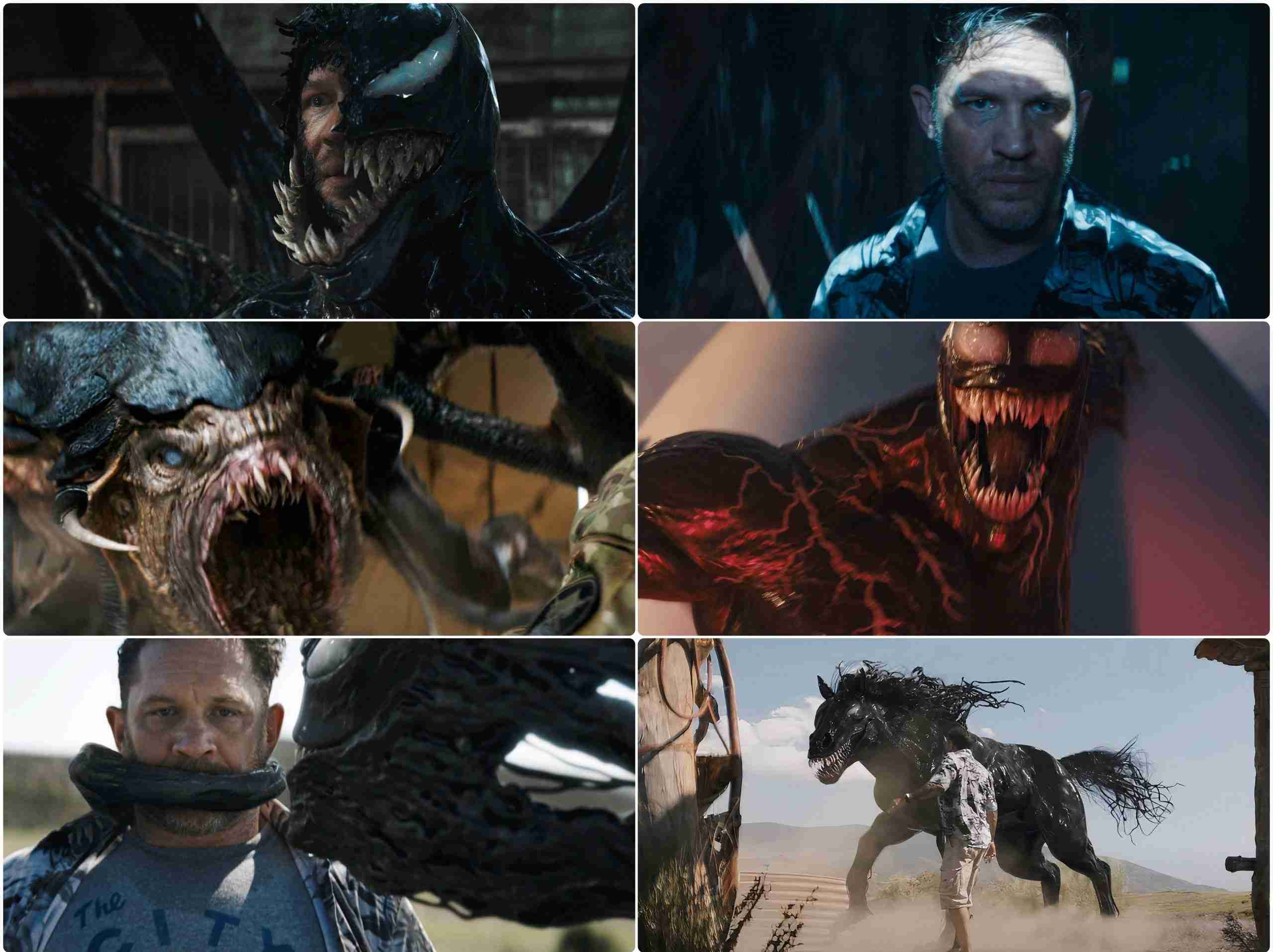 Venom The Last Dance Movie Screenshot