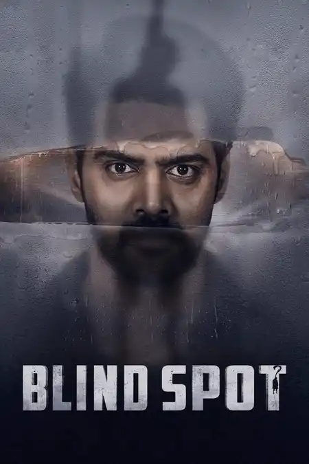 Blind Spot (2025) Poster