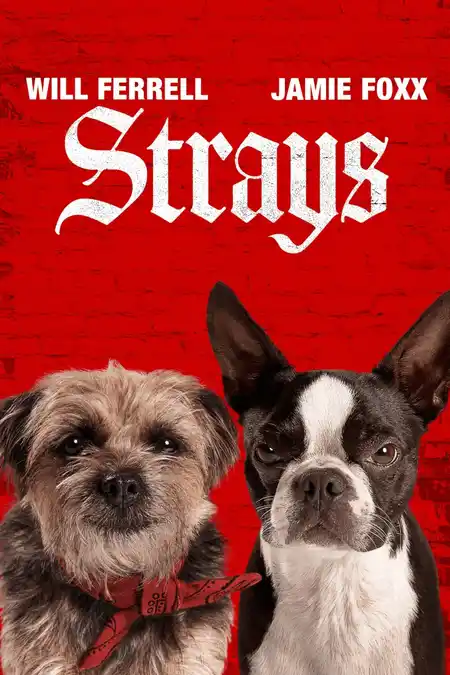 Strays (2023) Poster