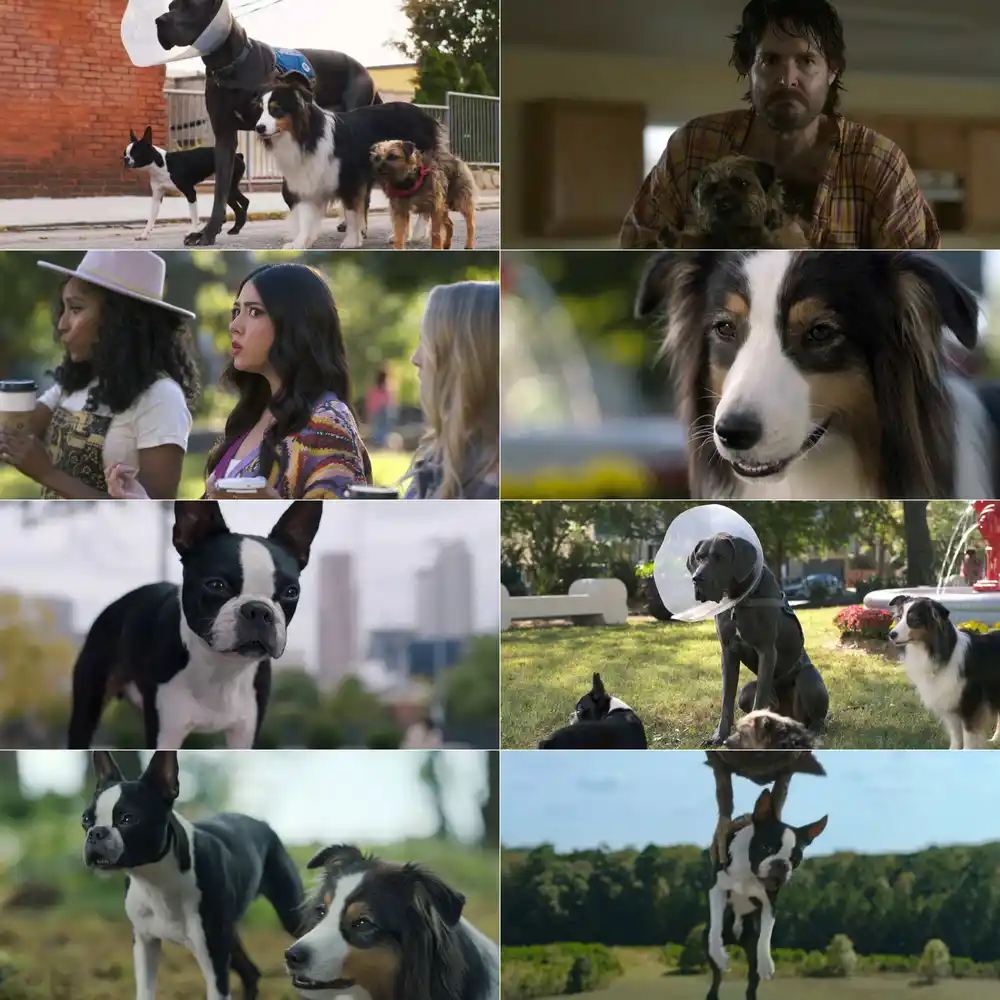 Strays Screenshot