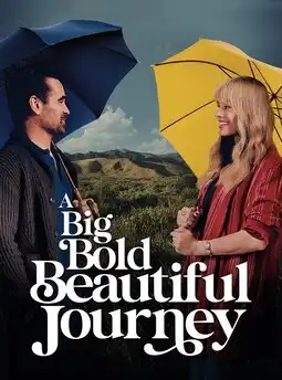 A Big Bold Beautiful Journey (2025) Poster