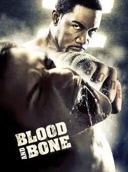 Blood and Bone (2009) Poster