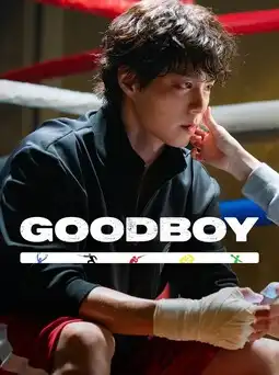 Good Boy S01 (2025) Poster